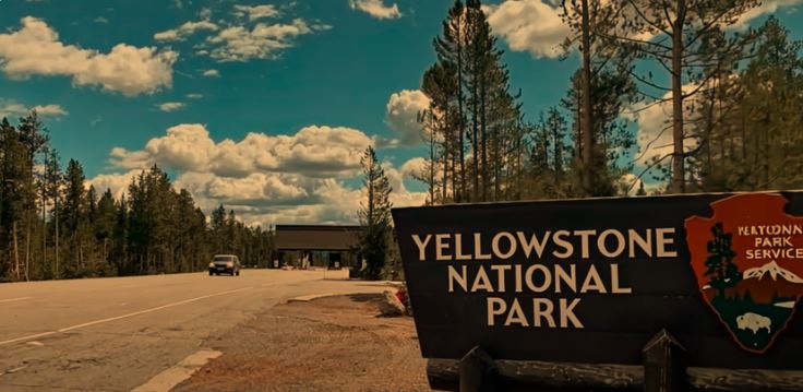 why are animals leaving yellowstone