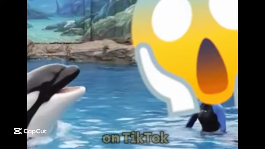 is jessica radcliffe orca attack real