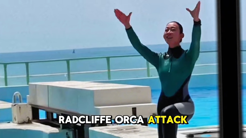 jessica dolphin accident